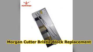 Αντικατάσταση Morgan Cutter Nylon Bristle Block 100x100x42mm